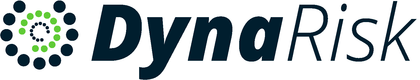 DynaRisk